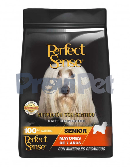 Perfect Sense Senior Perfect Sense Senior