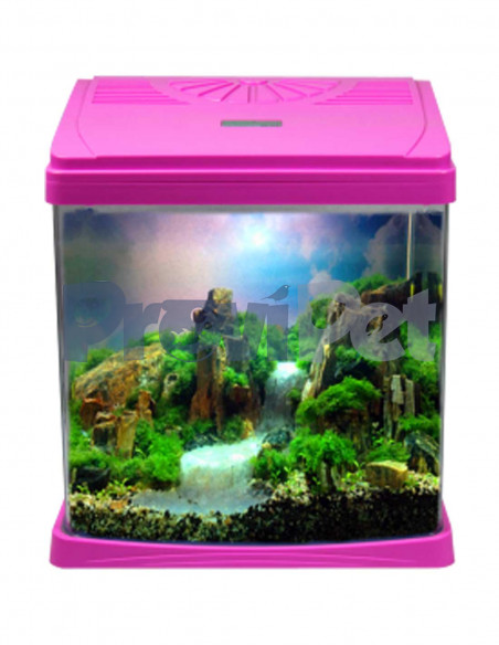 Mini Aquarium