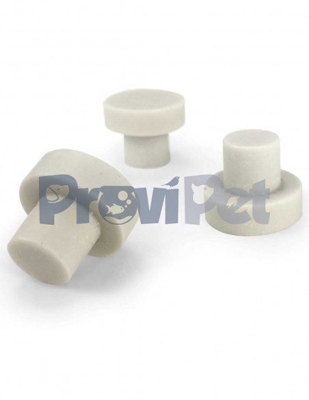 Bases Para Fragmentos De Corales