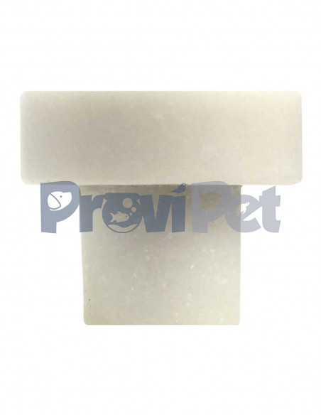 Bases Para Fragmentos De Corales