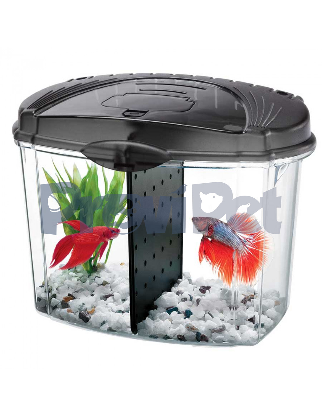 Betta Bowl de Aqueon en ProviPet