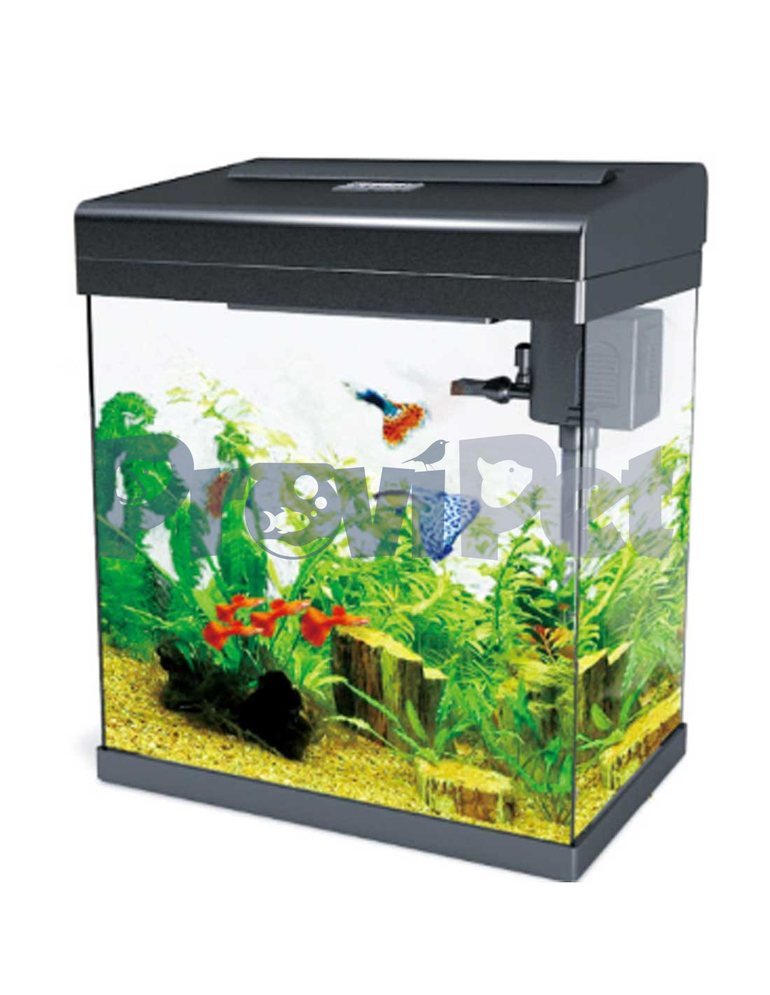 Mini Aquarium de BioPro en ProviPet