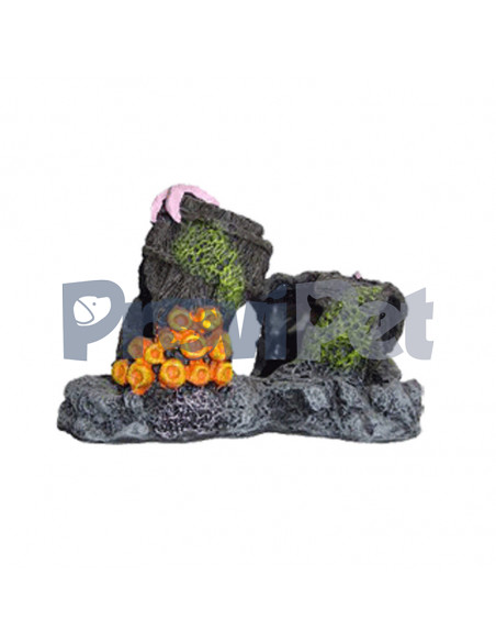 Creative Coral Series Creative Coral Series
