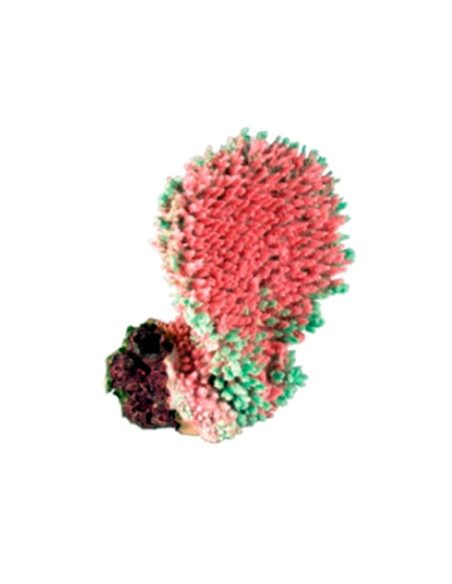 Poly Resin Ornament