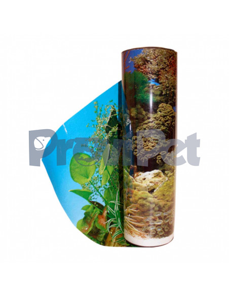 Respaldo Doble Vista