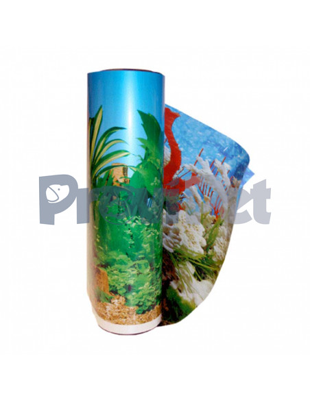 Respaldo Doble Vista