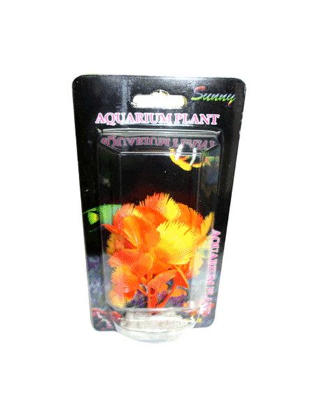 Aquarium Plant