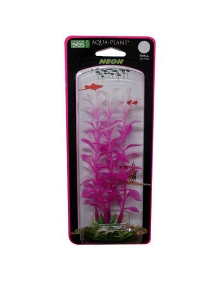 Plantas Neon