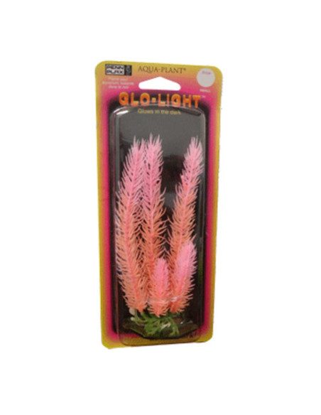 Glo Light Plants