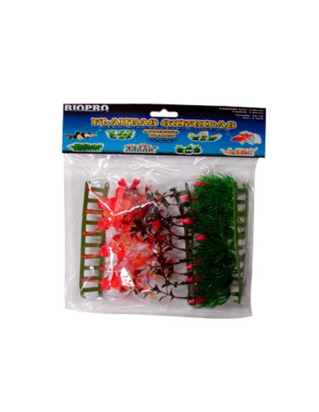 Plantas Surtidas