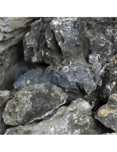 Scenery Aquarium Rock
