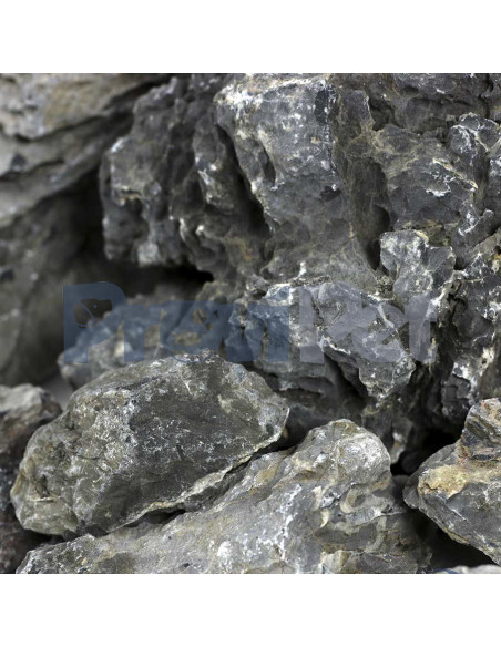 Scenery Aquarium Rock